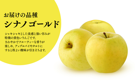 ≪2026年12月上旬頃より発送≫青森県産 訳あり シナノゴールド 約3kg【青森県 平川市 なるみ農園】家庭用 訳アリ 青森 青森県産 平川 りんご リンゴ 林檎 くだもの 果物 フルーツ［hi-0036-006］ 