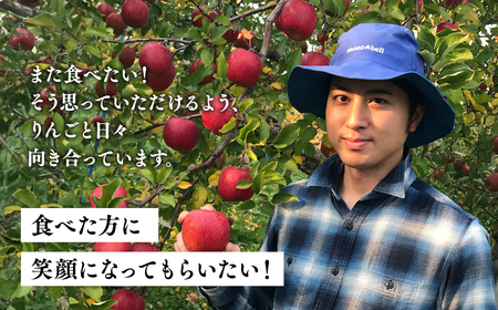 ≪2026年12月上旬頃より発送≫青森県産 訳あり ぐんま名月・葉とらずサンふじ 詰め合わせセット 約3kg【青森県 平川市 なるみ農園】家庭用 訳アリ 青森 青森県産 平川 りんご リンゴ 林檎 くだもの 果物 フルーツ［hi-0036-007］