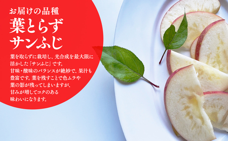 【レビューキャンペーン】≪2026年12月中旬頃より発送≫訳あり 葉取らずサンふじ 約3kg 青森県平川市産[hi-0036-009]