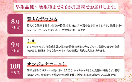 ≪2026年8月下旬頃より発送≫青森県産 贈答用りんご 6か月定期便 約3kg【青森県 平川市 なるみ農園】贈答 贈答規格 青森 青森県産 平川 りんご リンゴ 林檎 くだもの 果物 フルーツ ［hi-0036-011］