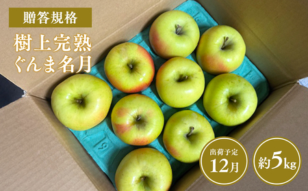 ≪令和8年産先行受付≫贈答用 樹上完熟ぐんま名月約5㎏【青森県 平川市 山内ファーム】贈答 贈答規格 平川市産 青森りんご りんご リンゴ 林檎 完熟 群馬名月 名月 お取り寄せ 先行予約 果物 くだもの フルーツ［hi-0038-023］   