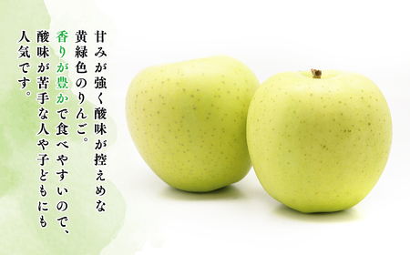 【レビューキャンペーン】≪令和8年産先行受付≫贈答用王林約5kg 青森県平川市産[hi-0038-029]