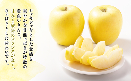 【レビューキャンペーン】≪令和8年産先行受付≫贈答用シナノゴールド約2kg 青森県平川市産[hi-0038-031]