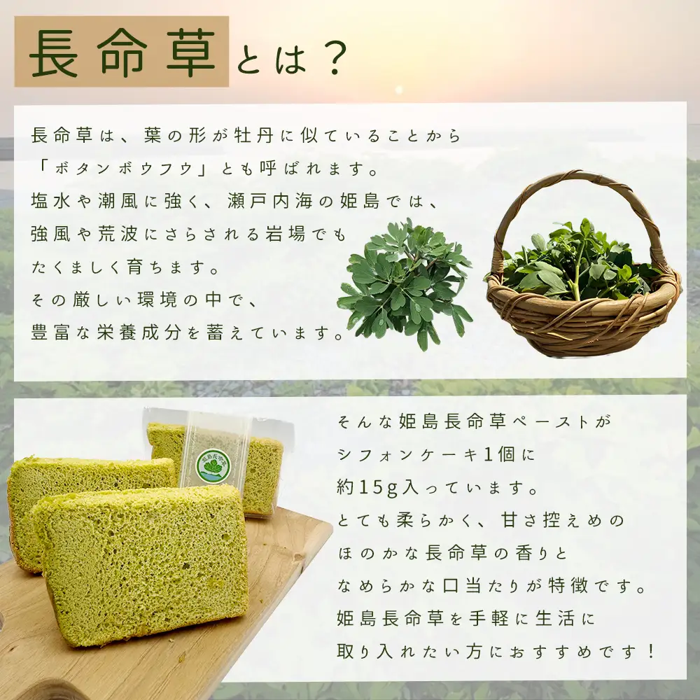 姫島村産 長命草使用 シフォンケーキ 8個 P4