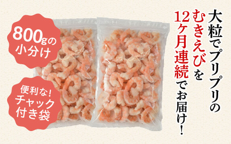 【定期便12回】特大大盛むきえび1.6kg（正味）《配達不可エリア：北海道・沖縄・離島》・K304
