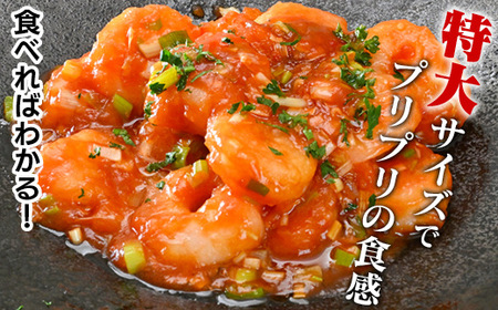 【定期便6回】特大大盛むきえび1.6kg（正味）《配達不可エリア：北海道・沖縄・離島》・K308