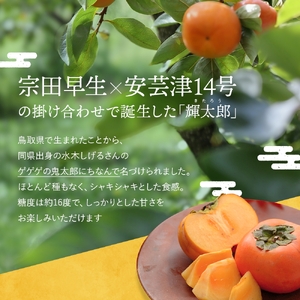希少な柿【輝太郎】大玉6個～7個 コクのある甘さ！こだわり農家厳選 【2026年9月末～10月末頃に順次発送予定】/ 柿 かき 果物 フルーツ 輝太郎 デザート おやつ 和菓子 菓子 お菓子 和歌山産 和歌山県産【kgr018】