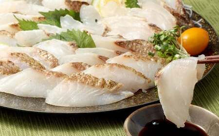 炙り天然鯛スライス 20切れ×2パック 計40切れ 無添加 炙り 天然鯛 真鯛 タイ 鯛 魚 お魚 魚介 冷凍 お手軽 簡単調理 熊本産 生食用 流水解凍 