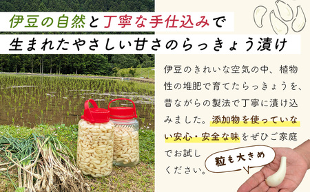 【数量限定】 伊豆 天城農園 青い鳥 らっきょうの甘酢漬け 130g×4パック【無添加 減塩 らっきょう 数量限定 】015-008