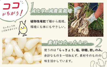 【数量限定】 伊豆 天城農園 青い鳥 グランパ 梅干し 160g×2パック・グランマ らっきょうの甘酢漬け 130g×2パック 【梅 無添加 減塩 らっきょう 数量限定 】