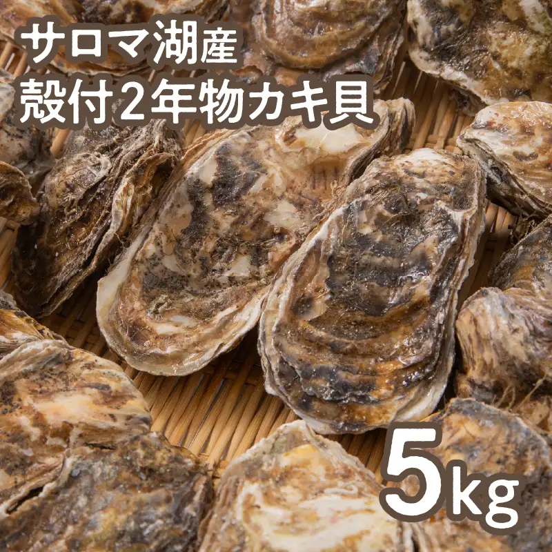 【予約：2026年10月より順次発送】【カキナイフ付】海のミルク サロマ湖産 殻付2年物カキ貝 5kg 35～50個入 ( 海鮮 魚介 魚介類 貝 貝類 カキ 牡蠣 贈答 ギフト BBQ バーベキュー )【031-0018-2026】