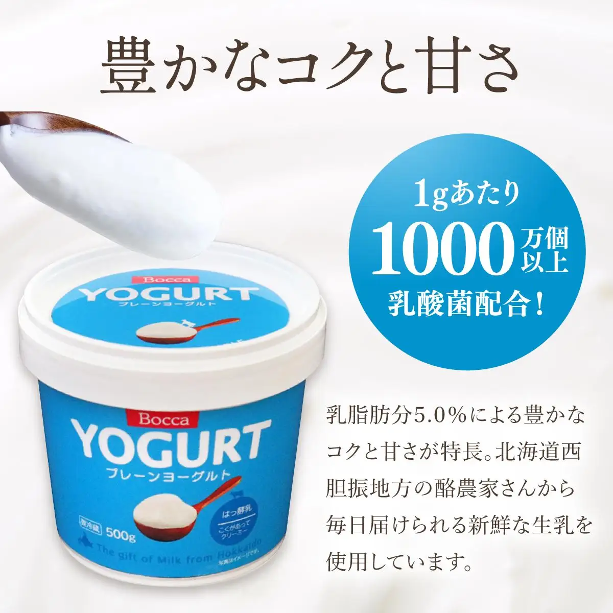 [5525-1206]北海道 牧家 Bocca ヨーグルト 500g 6個 計3.0kg 生乳 ミルク 練乳 濃厚 デザート スイーツ おやつ 乳製品 冷蔵