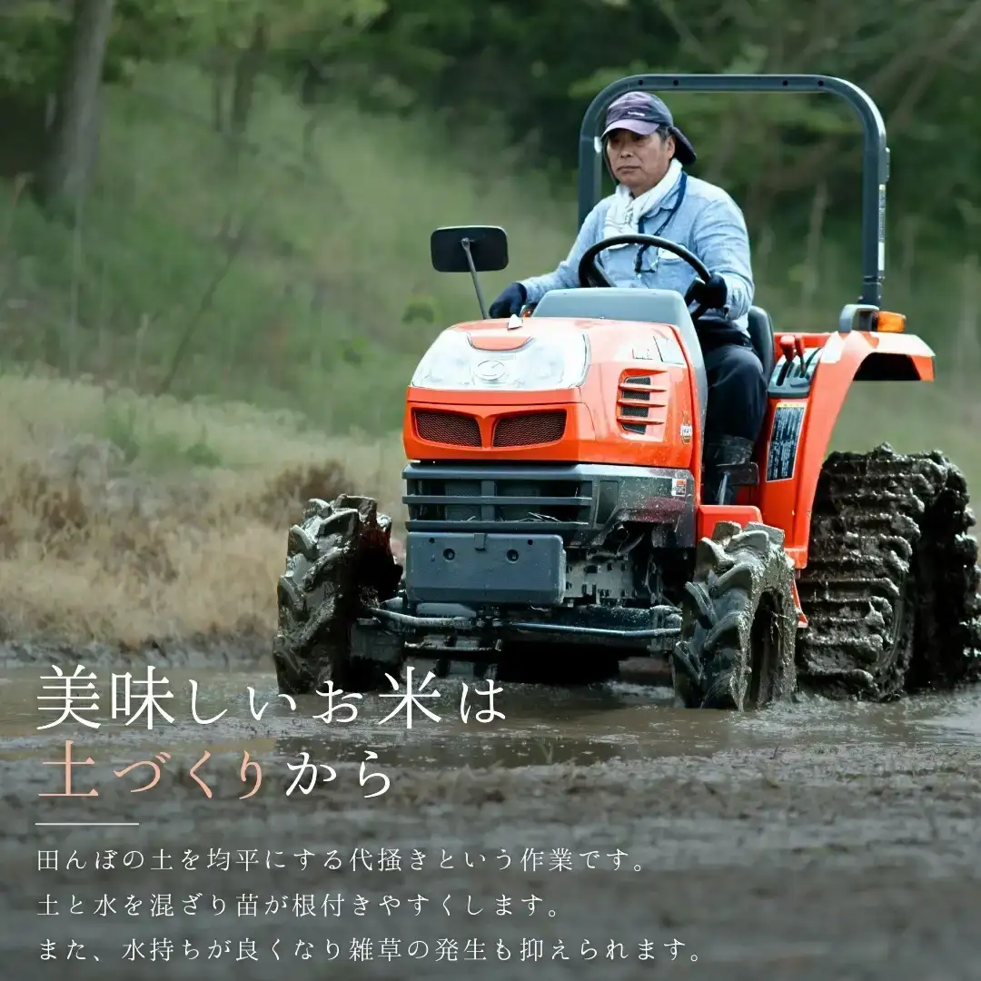 新潟県産コシヒカリ 1等米 5kg 2025年産コシヒカリ 三条市保内産こしひかり 精米 白米 令和7年産 米 【013S132】