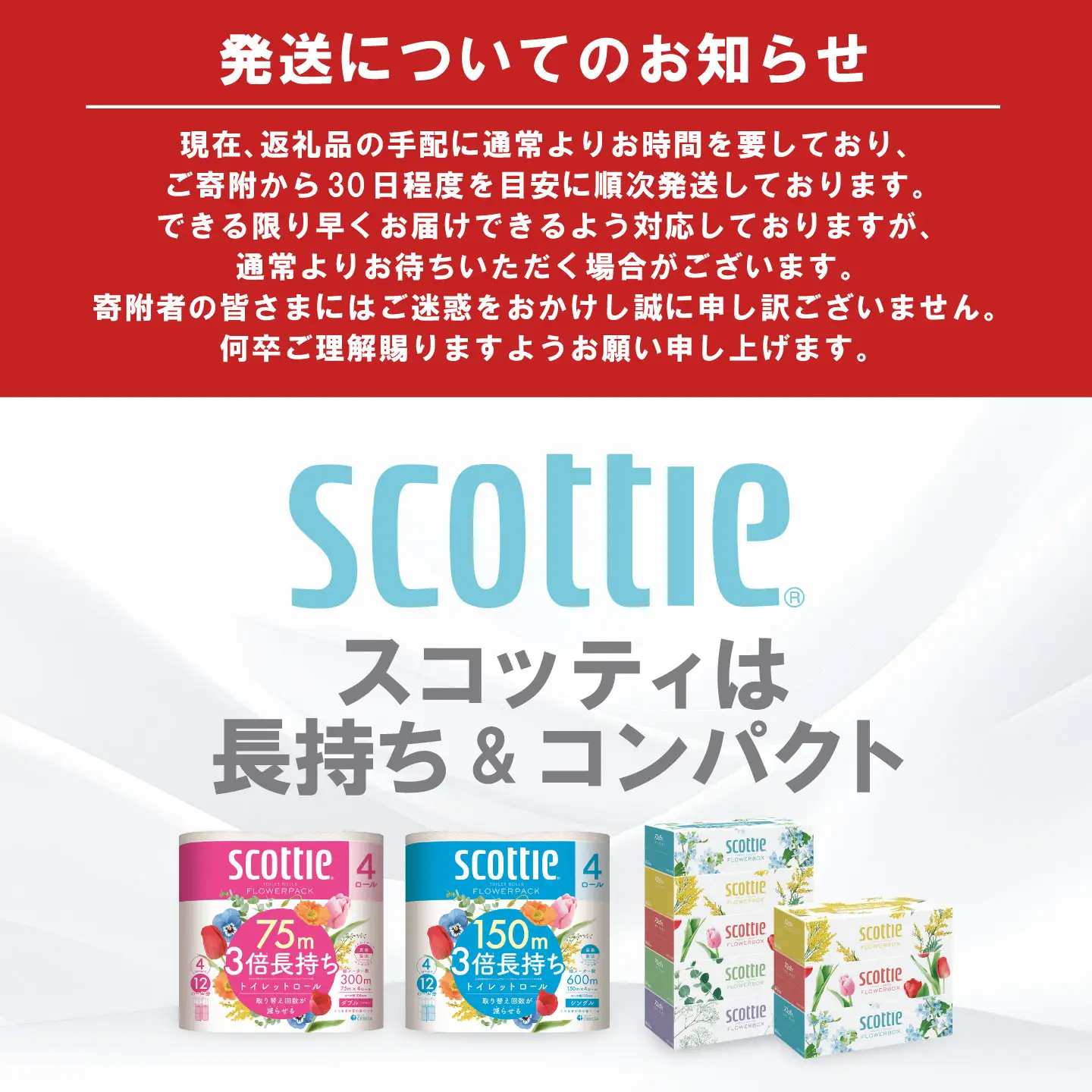 スコッティ トイレットペーパー ティッシュ 組み合わせ トイレットロール ダブル 16ロール ティシュー 16箱