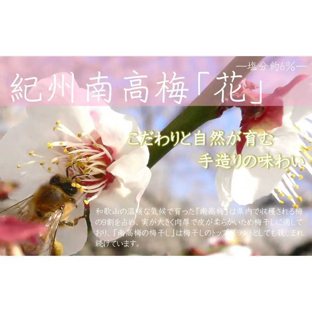 紀州南高梅 「花」 塩分約6％ 850g ［YM8w］