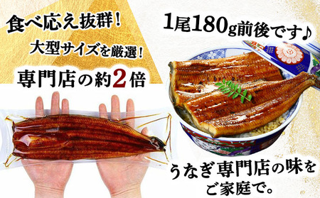 国産 うなぎ 蒲焼き（無頭 約180g前後）×2尾 タレ＆山椒付 贈答用BOX入り [024-a271]