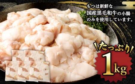国産牛もつ鍋10人前 ちゃんぽん 濃縮スープ付（醤油味） もつ ホルモン 鍋 お鍋 セット 冷凍 岡垣町