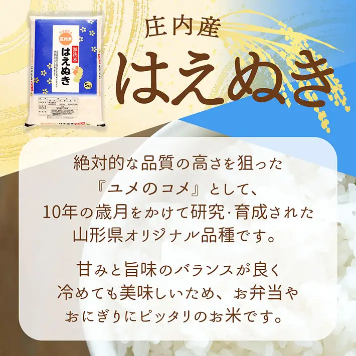 【6か月定期便】庄内米 はえぬき 無洗米 6kg 毎月 2kg×3袋 令和7年産 / 令和8年産 余目産 あまるめ ブランド米 米 山形 庄内平野 亀の尾発祥の地 庄内 お米の定期便【7月中旬発送/入金期限：2026年6月25日】