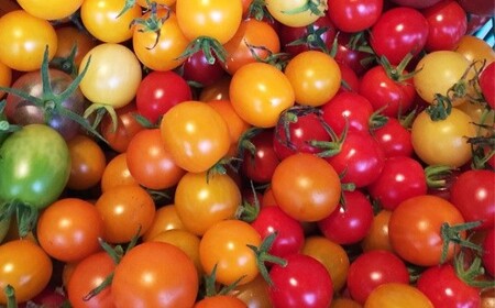 【定期便3回】ひばり農園の無農薬ワクワク野菜セット 【2151】