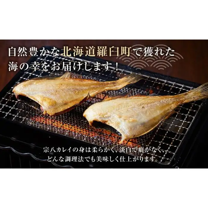 訳あり 宗八かれい一夜干し 250ｇ入×4袋 魚 訳あり小分け 国産 知床 羅臼 北海道