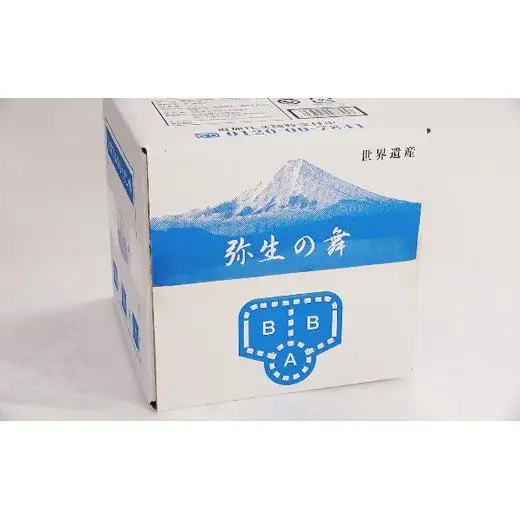 【12ヶ月定期便】奇跡の飲む温泉水「真木温泉 弥生の舞」　飲泉力（BIBバック）10L入り