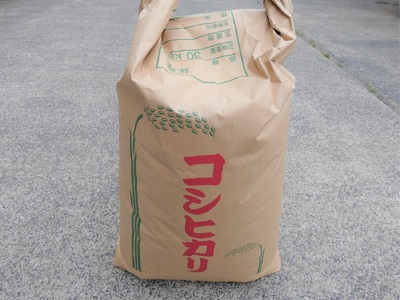 令和７年産岩美のコシヒカリ 30kg 玄米｜鳥取 岩美 お米【31017】