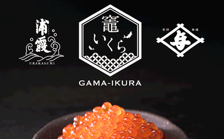 いくら 鮭いくら 醤油漬け 400g 小分け (200g×2) ブランド名：竈いくら 冷凍 塩竈市 YAMATO