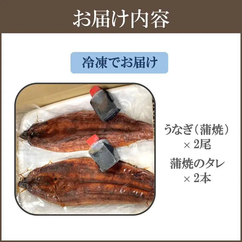 鹿児島産うなぎの蒲焼2尾セット【B7-032】