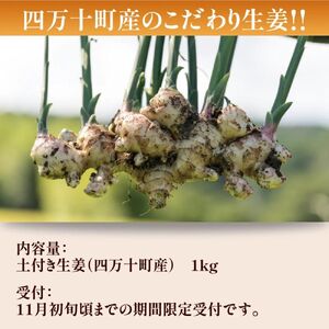 【予約受付】ミネラル豊富なエコ栽培の生姜1kg ／Fms-20 しょうが ジンジャー おかず 野菜 大容量