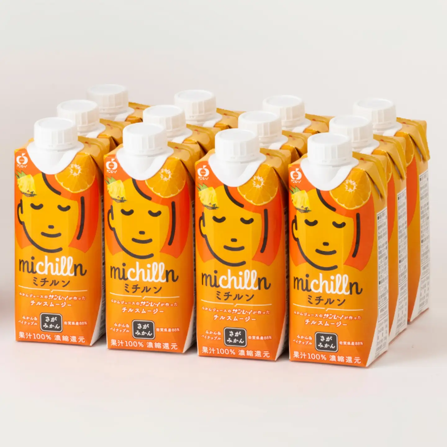 果汁100％！チルスムージー ミチルン 330ml×12本 フルーツジュース 佐賀みかん パインアップル：B110-050