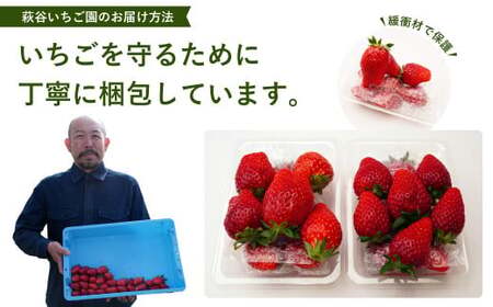 いちごグランプリ大賞受賞 完熟いちご2パック