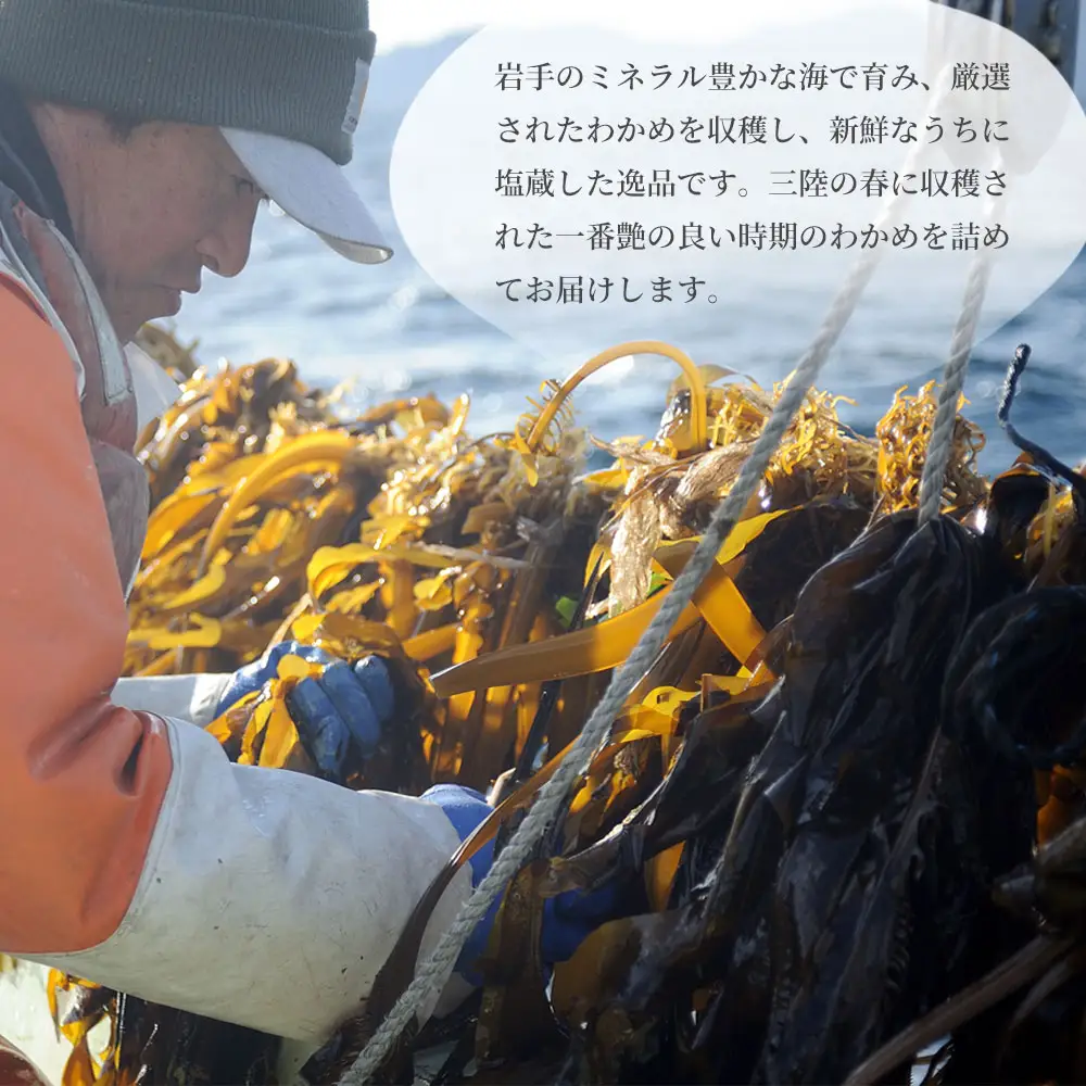 fn-72-004 三陸釜石・漁師直送 湯通し塩蔵わかめ（100g×20袋) 両石港 隆丸