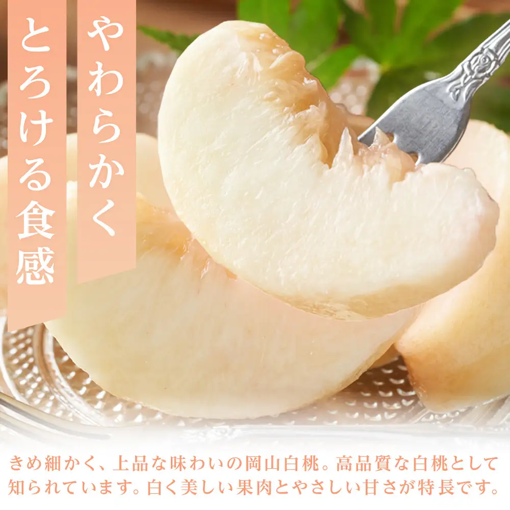 岡山白桃　約1.5kg（6玉前後）