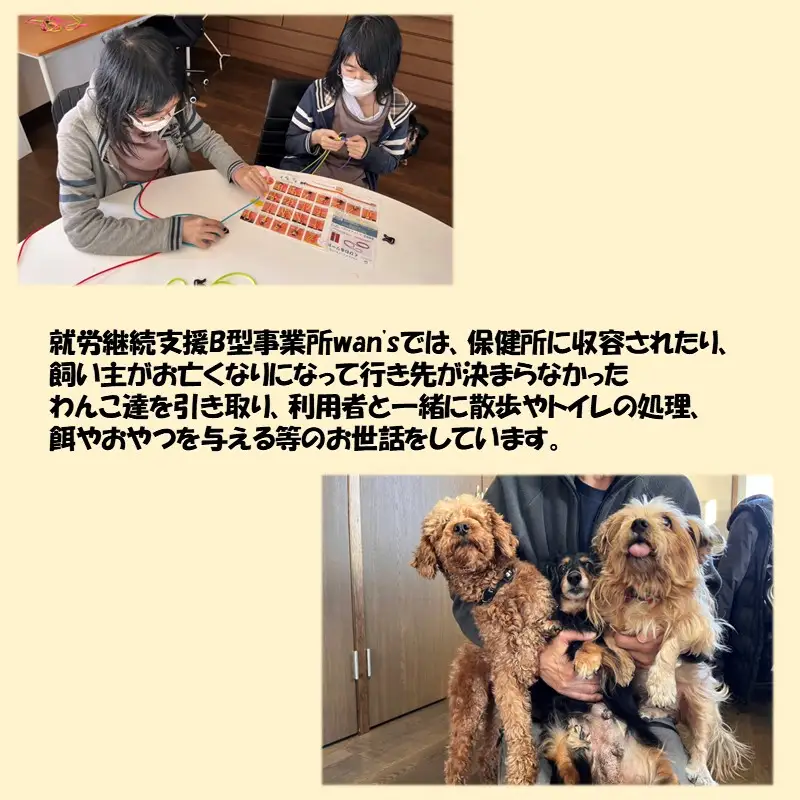 《14営業日以内に発送》小型犬用首輪 2個 リード 2本 4点セット ( ペット 犬 小物 わんこ 手作り 首輪 リード )【195-0006】