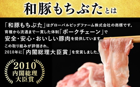 和豚もちぶた 切り落し 4kgセット (400g×10パック) 
