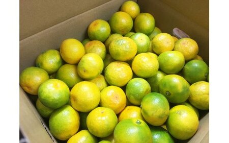 紀州和歌山有田産ゆら早生みかん約10kg 【2026年10月中旬頃～11月上旬頃に順次発送予定(お届け日指定不可)】【Z-uot734】