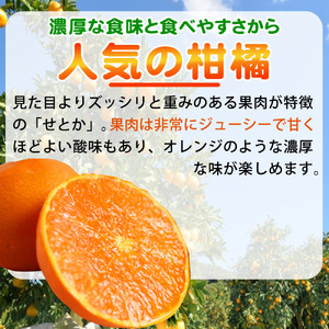 とろける食感 ジューシー柑橘 せとか 約2.5kg みかん 蜜柑 柑橘 オレンジ 果物 フルーツ 国産 和歌山県広川町 【2027年1月下旬頃〜2027年2月上旬頃発送】【Z-uot789】