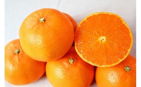 【訳あり・ご家庭用】ジューシー柑橘 せとか 約3kg【先行予約】 せとか みかん ミカン 柑橘 フルーツ 果物 くだもの【2027年2月下旬頃〜3月中旬頃発送予定（お届け日指定不可）】【Z-uot844A】