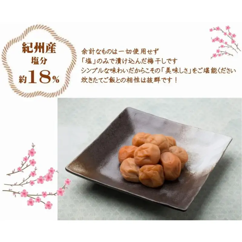 紀州南高梅 白干 500g×2 塩分 約18% yamada012A【yamada012A】