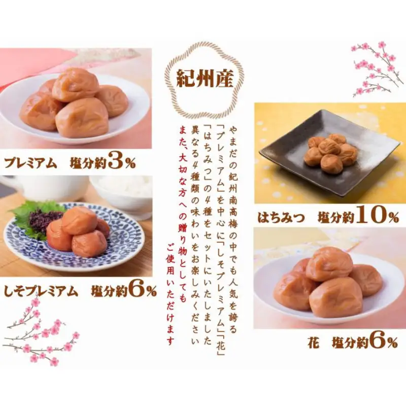 厳選 紀州南高梅 四種詰合せ 各200g×1 合計4箱 yamada013A【yamada013A】
