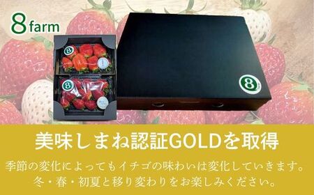 イチゴ2品種セット【食べ比べ いちご 約290g×2パック 苺 冷蔵 安来】