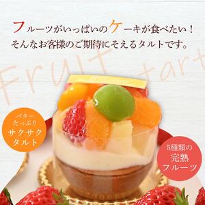 鬼盛り ミニフルーツタルト 4個入り＜フレッシュタルトのお店STYLE＞