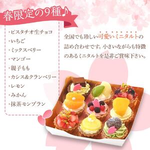 春のみにたるとアソート 9個入り＜フレッシュタルトのお店STYLE＞
