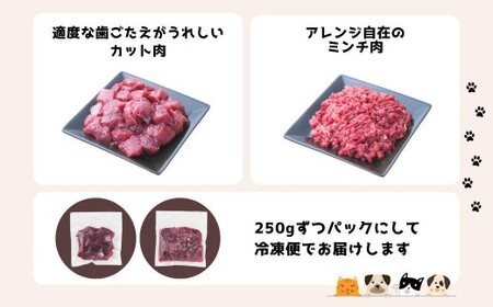 【3回定期便】 森のジビエ for PET 鹿肉 2kg ペットフード 犬 猫 A-JK-B02H