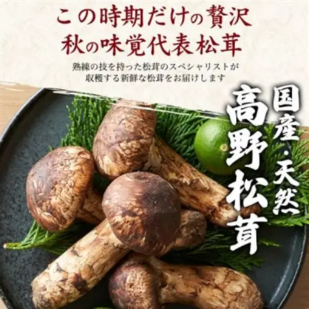 国産　天然高野松茸　約200g  2026年出荷_野菜 松茸 きのこ まつたけ マツタケ_【配送不可地域：離島・北海道・沖縄県】【1601023】