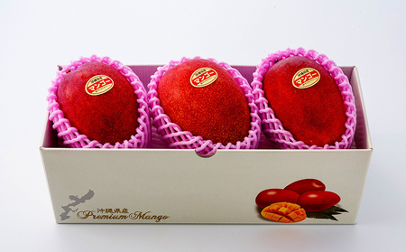 マンゴー【2026年発送】令和6年最優秀賞サンライズファーム マンゴー贈答用 約1kg