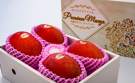 マンゴー【2026年発送】令和6年最優秀賞サンライズファーム マンゴー贈答用 約2kg