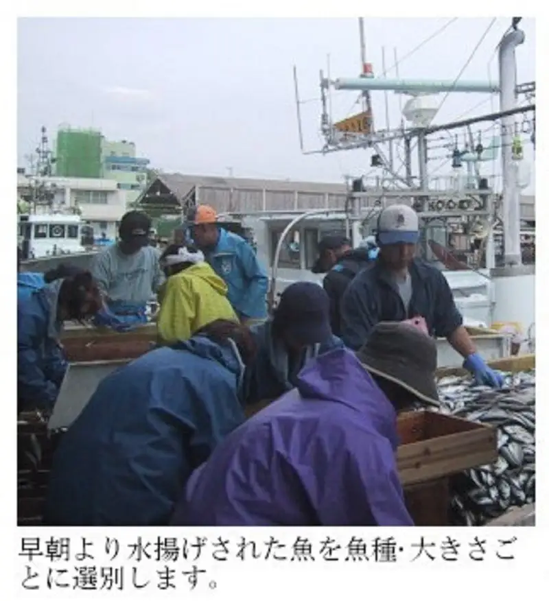 真ふぐ一汐と干物セット K-7 干物 アジ 蓮子鯛 カレイ 真ふぐ 山口県 長門市 国産 干物 手作り 4種類  お中元 お歳暮 ギフト 贈り物  (10146)
