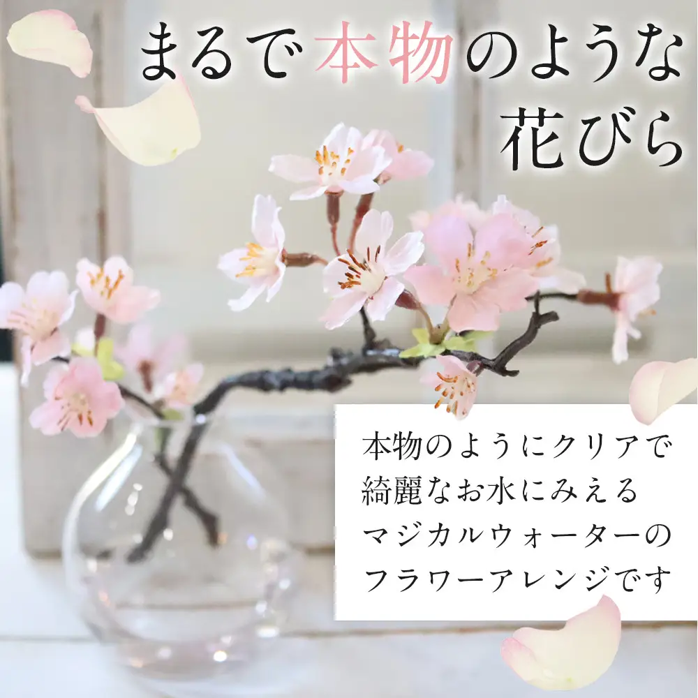 新春　淡雪桜　さくら　魔法の水　マジカルウォーター『薄紅』
