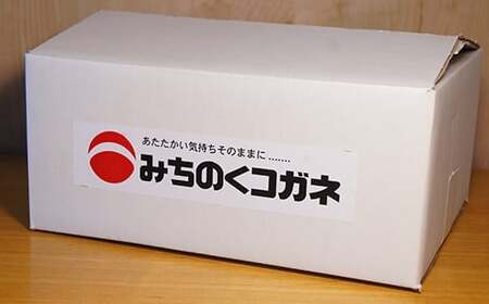 手造り 盛岡しお温麺 10食 セット 塩温麺 塩味 手作り  冷凍生麺 黄金製麺所 業務用 冷凍 のし ギフト お中元 お歳暮 みちのくコガネ 岩手県 北上市 C0420